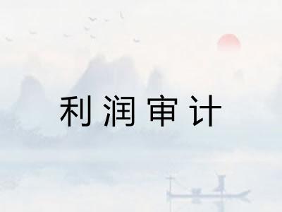利润审计 利润审计