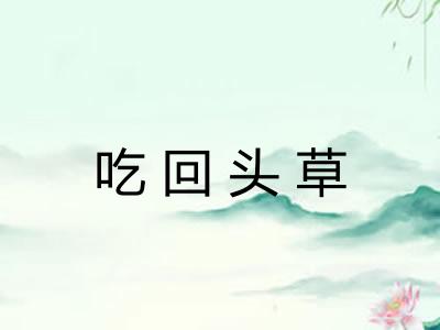 吃回头草 吃回头草