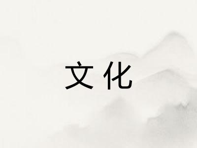 文化 文化