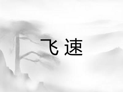 飞速 飞速
