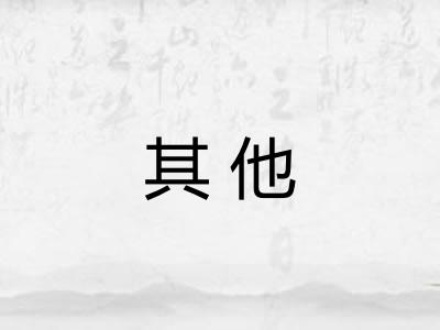其他