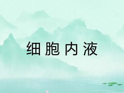细胞内液 细胞内液
