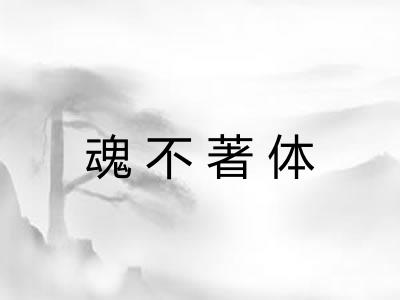魂不著体 魂不著体