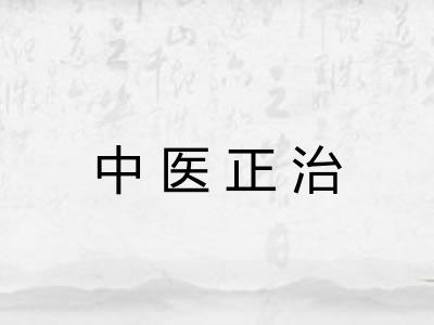 中医正治 中医正治