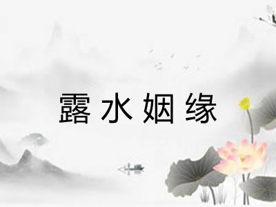 露水姻缘 露水姻缘