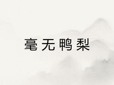 毫无鸭梨 毫无鸭梨