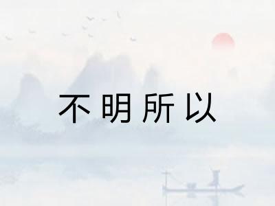 不明所以 不明所以
