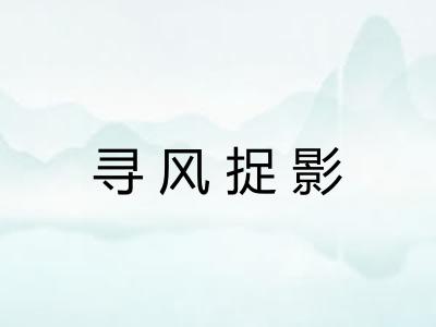 寻风捉影 寻风捉影