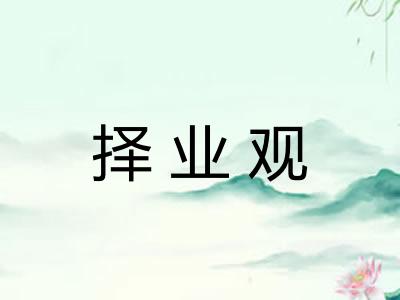 择业观