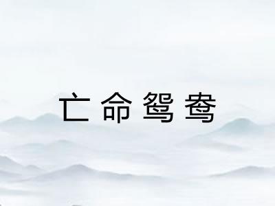 亡命鸳鸯 亡命鸳鸯