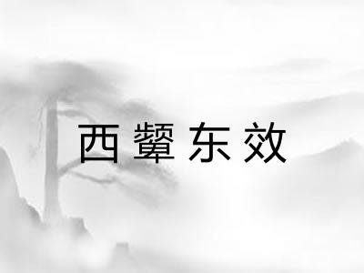 西颦东效 西颦东效