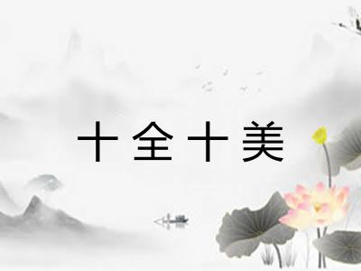 十全十美