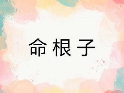 命根子