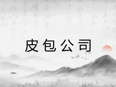 皮包公司 皮包公司