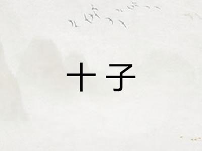 十子 十子