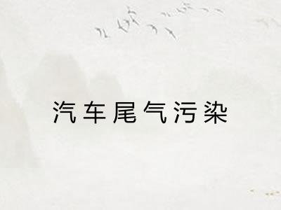 汽车尾气污染 汽车尾气污染
