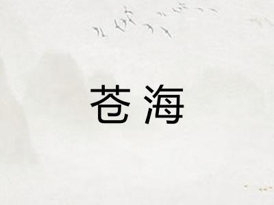 苍海 苍海
