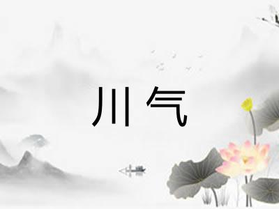 川气 川气