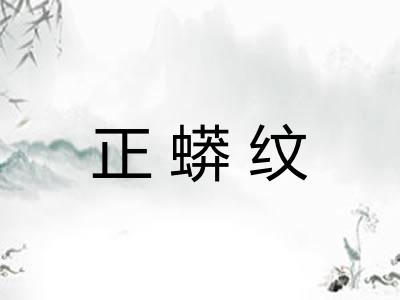 正蟒纹 正蟒纹
