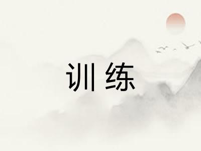 训练 训练