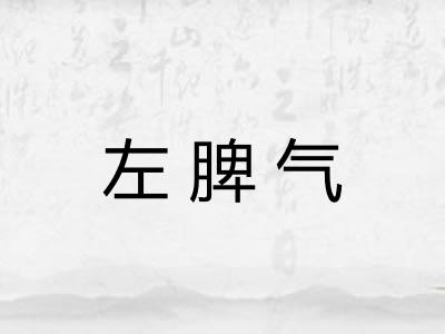 左脾气