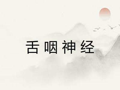 舌咽神经 舌咽神经