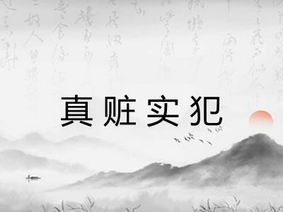 真赃实犯