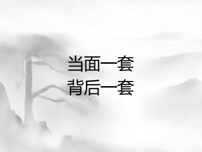 当面一套背后一套