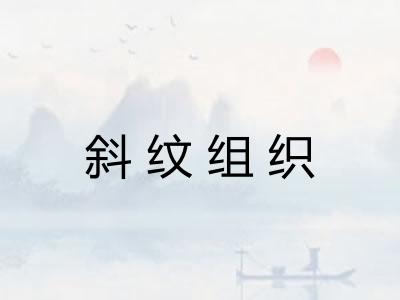 斜纹组织 斜纹组织