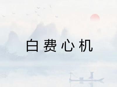 白费心机