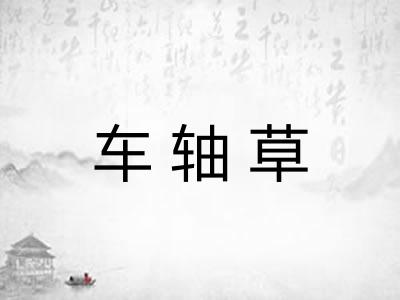 车轴草