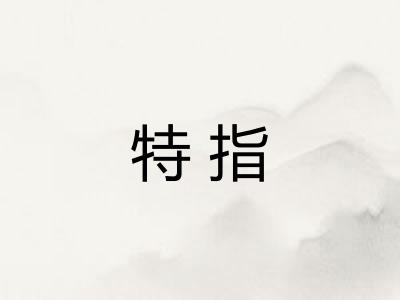 特指 特指