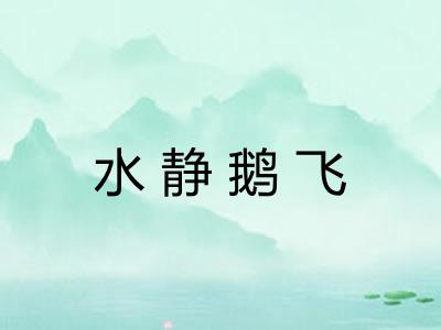 水静鹅飞 水静鹅飞