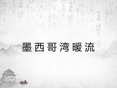 墨西哥湾暖流 墨西哥湾暖流