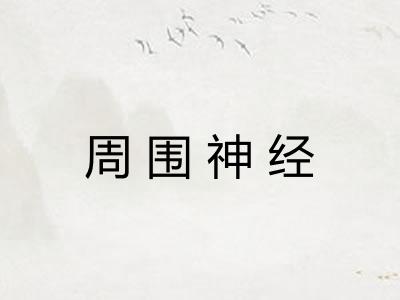 周围神经 周围神经