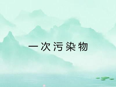 一次污染物 一次污染物