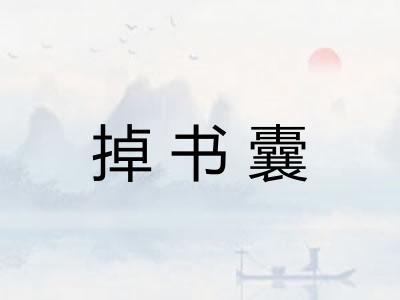 掉书囊 掉书囊