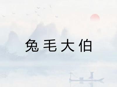 兔毛大伯 兔毛大伯
