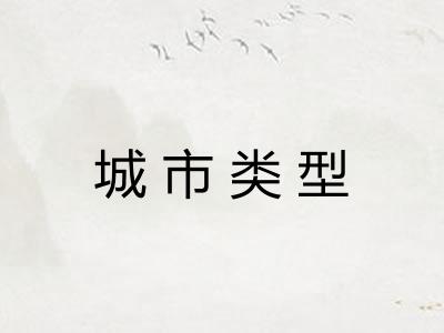 城市类型 城市类型