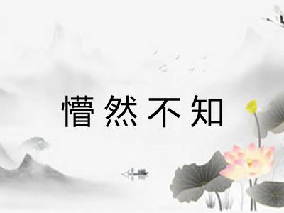 懵然不知 懵然不知