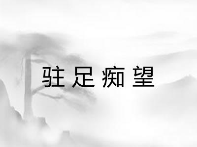 驻足痴望 驻足痴望