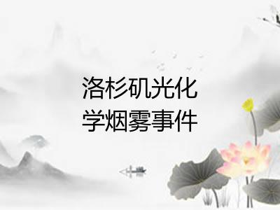 洛杉矶光化学烟雾事件 洛杉矶光化学烟雾事件