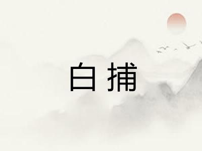 白捕 白捕