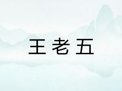 王老五 王老五