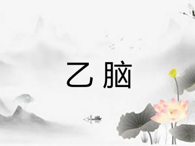 乙脑 乙脑